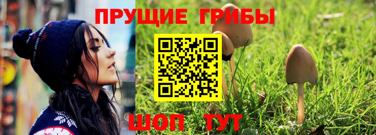 Галлюциногенные грибы Psilocybe  Вход с VPN  Кызыл  Псилоцибиновые грибы Psilocybine cubensis 